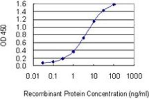 Detection limit for recombinant GST tagged AIF1 is 0. (Iba1 antibody  (AA 1-147))