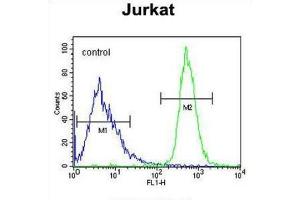 Flow Cytometry (FACS) image for anti-Free Fatty Acid Receptor 3 (FFAR3) antibody (ABIN3002269) (FFAR3 antibody)