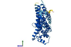 AlphaFold protein structure predicition of Mouse Recombinant Tm6sf1 Protein, UniprotID P58749 (TM6SF1 Protein (AA 1-370) (His tag))