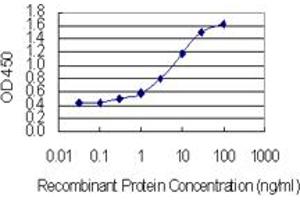 Detection limit for recombinant GST tagged EBF4 is 0. (EBF4 antibody  (AA 1-88))