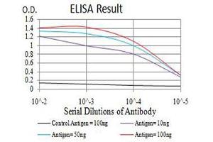 Black line: Control Antigen (100 ng),Purple line: Antigen (10 ng), Blue line: Antigen (50 ng), Red line:Antigen (100 ng) (ATF4 antibody  (AA 212-351))