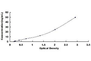 Typical standard curve (ASAH2 ELISA Kit)