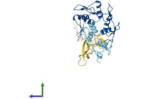 AlphaFold protein structure predicition of Human Recombinant ZNF771 Protein, UniprotID Q7L3S4 (ZNF771 Protein (AA 1-317) (His tag))
