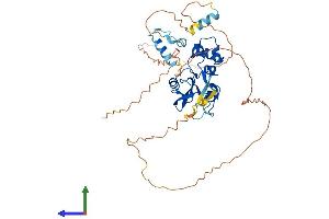 AlphaFold protein structure predicition of Human Recombinant SOCS4 Protein, UniprotID Q8WXH5