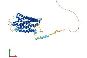 AlphaFold protein structure predicition of Human Recombinant GALR3 Protein, UniprotID O60755 (GALR3 Protein (AA 1-368) (His tag))