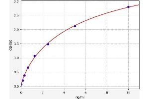 ZEB1 ELISA Kit