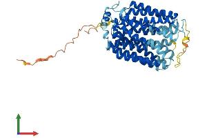 AlphaFold protein structure predicition of Mouse Recombinant Slc17a5 Protein, UniprotID Q8BN82 (Solute Carrier Family 17 (Acidic Sugar Transporter), Member 5 (SLC17A5) (AA 1-495) protein (His tag))
