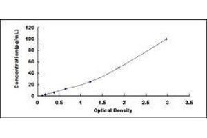 Typical standard curve (IL-6 ELISA Kit)