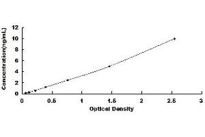 Typical standard curve (Desmoglein 2 ELISA Kit)