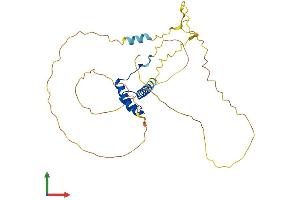 AlphaFold protein structure predicition of Human Recombinant NKX2-6 Protein, UniprotID A6NCS4