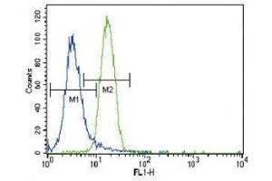 Parkin antibody flow cytometric analysis of NCI-H460 cells (right histogram) compared to a negative control (left histogram). (Parkin antibody  (AA 387-417))