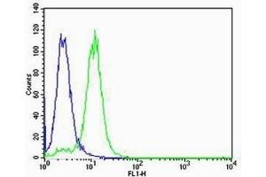 Flow cytometric analysis of K562 cells using vWF antibody (green) compared to an isotype control of mouse IgG1 (blue). (VWF antibody)