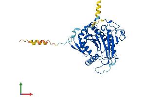 AlphaFold protein structure predicition of Human Recombinant GALT Protein, UniprotID P07902 (GALT Protein (AA 1-379) (His tag))