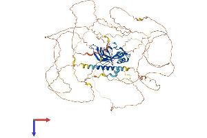 AlphaFold protein structure predicition of Human Recombinant ATXN1 Protein, UniprotID P54253