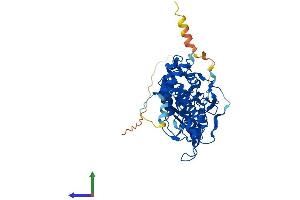 AlphaFold protein structure predicition of Mouse Recombinant Mrps30 Protein, UniprotID Q9D0G0