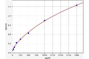 Tenascin C (TNC) ELISA Kit