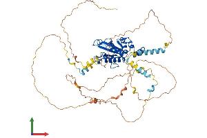 AlphaFold protein structure predicition of Human Recombinant CDC25B Protein, UniprotID P30305