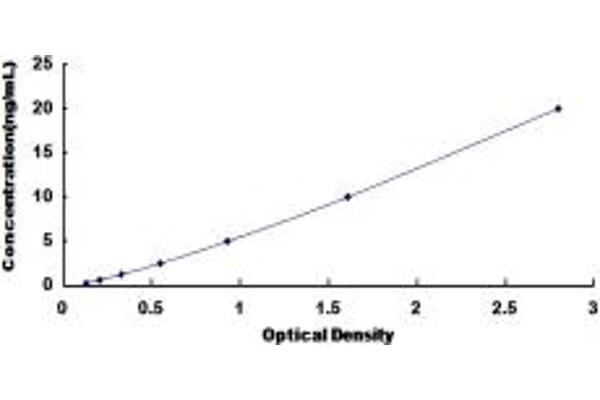 SUOX ELISA Kit