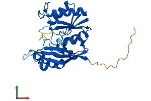 AlphaFold protein structure predicition of Human Recombinant DPH6 Protein, UniprotID Q7L8W6 (ATPBD4 Protein (AA 1-267) (His tag))