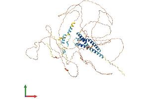 Protein Structure (PS) image for Centrosomal Protein 68kDa (CEP68) (AA 1-757) protein (His tag) (ABIN7553172)