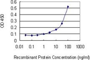Detection limit for recombinant GST tagged AHSA1 is 1 ng/ml as a capture antibody. (AHSA1 antibody  (AA 1-338))