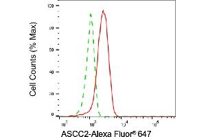Flow cytometric analysis of ASCC2 expression in HepG2 cells using ASCC2 antibody (ABIN7797477), 1:2,000). (ASCC2 antibody)