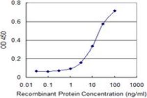 Detection limit for recombinant GST tagged ZNF81 is 0. (ZNF81 antibody  (AA 1-122))
