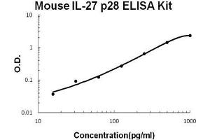 Mouse IL-27 p28 PicoKine ELISA Kit standard curve (IL-27 ELISA Kit)
