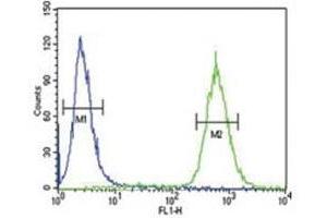 GDNF antibody flow cytometric analysis of 293 cells (right histogram) compared to a negative control (left histogram). (GDNF antibody  (AA 8-36))