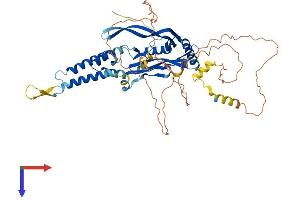 Transmembrane Protein 151B (TMEM151B) (AA 1-561) protein (His tag)