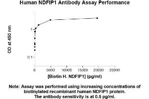 Image no. 1 for anti-Nedd4 Family Interacting Protein 1 (NDFIP1) (AA 1-116) antibody (ABIN5565940) (NDFIP1 antibody  (AA 1-116))