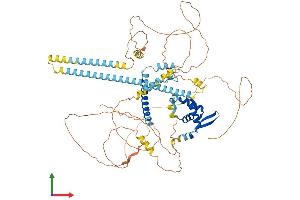 Protein Structure (PS) image for Forkhead Box P2 (FOXP2) (AA 1-715) protein (His tag) (ABIN7553941)