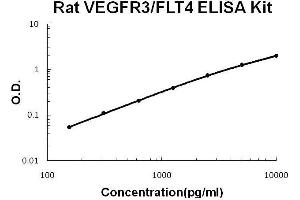 Rat VEGFR3/FLT4 PicoKine ELISA Kit standard curve (FLT4 ELISA Kit)