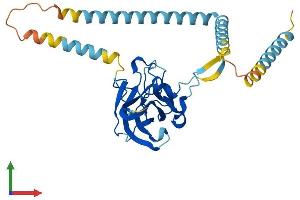 AlphaFold protein structure predicition of Mouse Recombinant Sun3 Protein, UniprotID Q5SS91