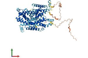 AlphaFold protein structure predicition of Human Recombinant SLC7A4 Protein, UniprotID O43246