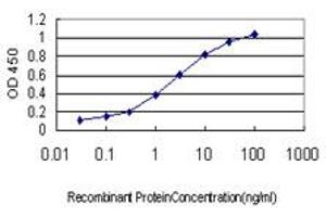 Detection limit for recombinant GST tagged RAB8A is approximately 0. (RAB8A antibody  (AA 108-207))