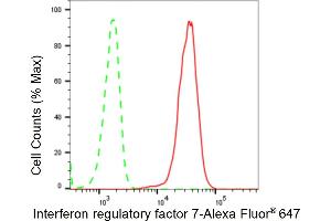 Flow cytometric analysis of Interferon regulatory factor 7 expression in C2C12 cells using Interferon regulatory factor 7 antibody (ABIN7799088), 1:2,000). (Recombinant IRF7 antibody)
