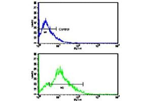 Flow cytometric analysis of HL-60 cells using CD3G polyclonal antibody (bottom histogram) compared to a negative control cell (top histogram). (CD3G antibody  (N-Term))