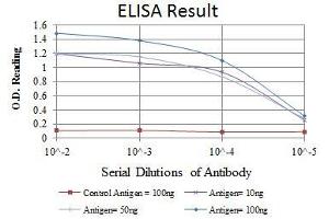 Red: Control Antigen (100 ng), Purple: Antigen (10 ng), Green: Antigen (50 ng), Blue: Antigen (100 ng), (BPTF antibody)