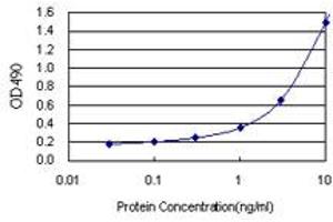 Sandwich ELISA detection sensitivity ranging from 0. (FKBP4 (Human) Matched Antibody Pair)