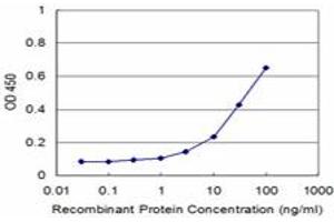 Detection limit for recombinant GST tagged TOPORS is approximately 3ng/ml as a capture antibody. (TOPORS antibody  (AA 98-205))