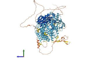 Protein Structure (PS) image for TAF2 RNA Polymerase II, TATA Box Binding Protein (TBP)-Associated Factor, 150kDa (TAF2) (AA 1-1199) protein (His tag) (ABIN7555722)