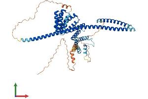 AlphaFold protein structure predicition of Human Recombinant KLC1 Protein, UniprotID Q07866