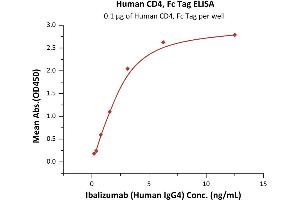 Immobilized Human CD4, Fc Tag (ABIN2180789,ABIN2180788) at 1 μg/mL (100 μL/well) can bind Ibalizumab (Human IgG4) with a linear range of 0. (CD4 Protein (CD4) (AA 26-396) (Fc Tag))