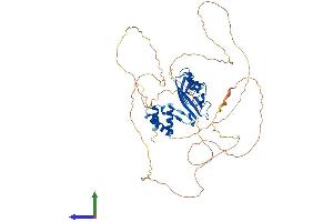 Protein Structure (PS) image for Protein AF-9 (MLLT3) (AA 1-569) protein (His tag) (ABIN7561937)