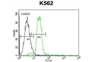 Flow Cytometry (FACS) image for anti-Hemoglobin, alpha 2 (HBa2) antibody (ABIN2932211) (HBa2 antibody)