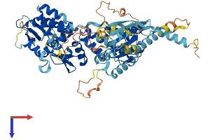 AlphaFold protein structure predicition of Mouse Recombinant Rhobtb3 Protein, UniprotID Q9CTN4 (RHOBTB3 Protein (AA 1-611) (His tag))