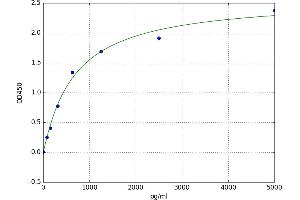 Interferon Induced with Helicase C Domain 1 (IFIH1) ELISA Kit