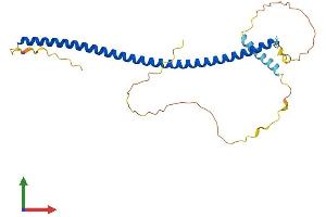 AlphaFold protein structure predicition of Human Recombinant CAVIN3 Protein, UniprotID Q969G5