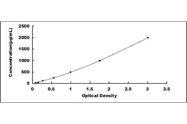FADS2 ELISA Kit